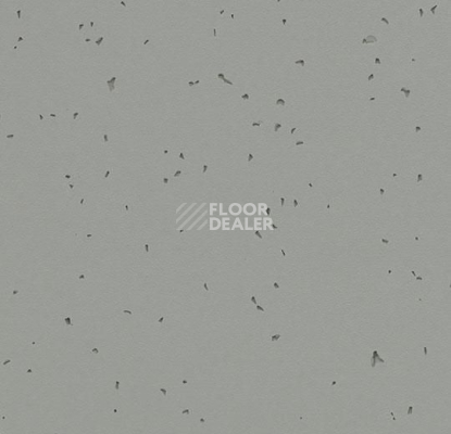 Линолеум Forbo Sphera Energetic 50216 pigeon фото 1 | FLOORDEALER